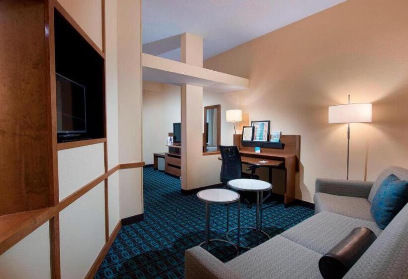 Люкс Executive Кровать Кинг, Fairfield Inn And Suites Charleston North/university Area