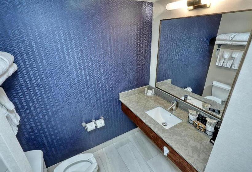 스탠다드 룸 킹사이즈 침대, Fairfield Inn & Suites Woodbridge