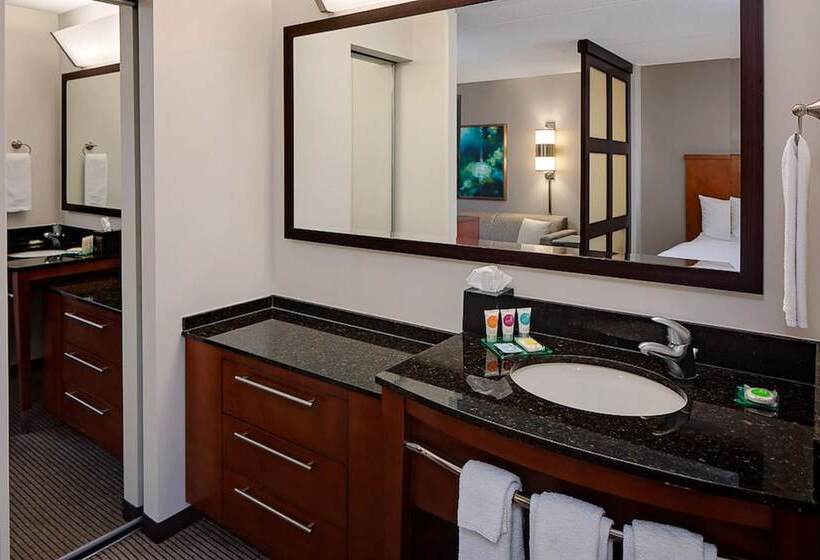 带2个双人床的标准工作室, Hyatt Place Pittsburgh North Shore