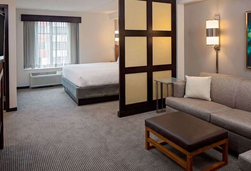 带2个双人床的标准工作室, Hyatt Place Pittsburgh North Shore
