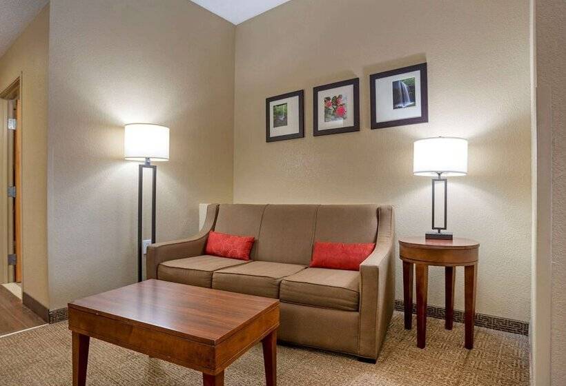 스위트, Comfort Suites Oxford I 20 Exit 188