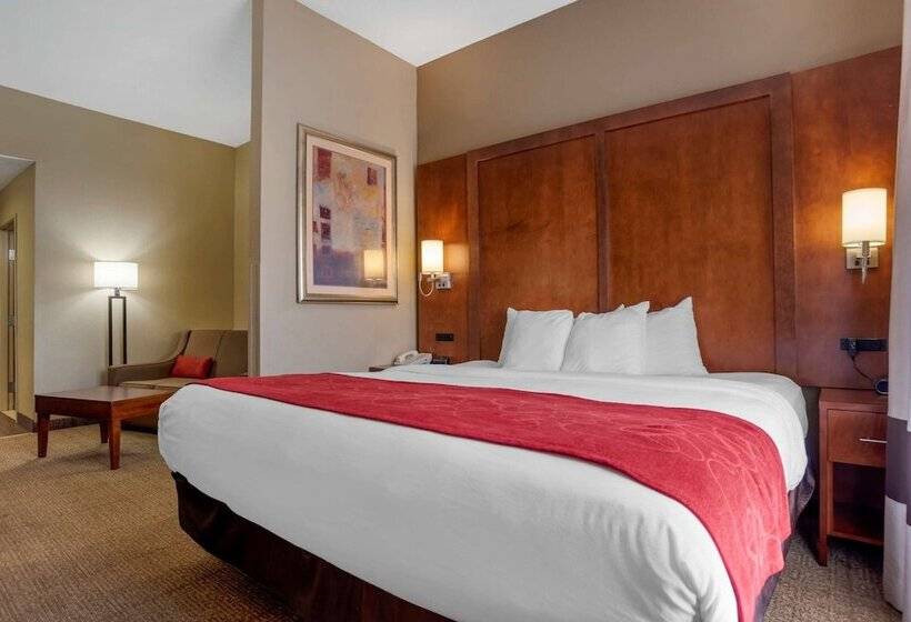 스위트, Comfort Suites Oxford I 20 Exit 188