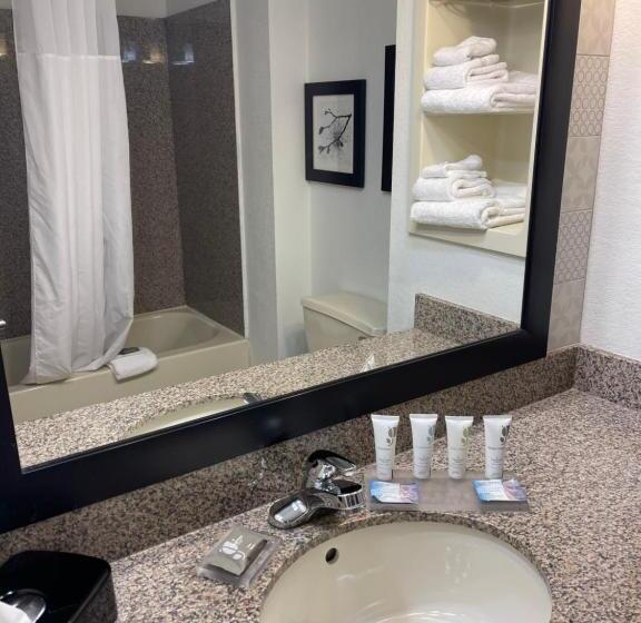 스탠다드 스튜디오 킹침대, Country Inn & Suites By Radisson, Merrillville, In