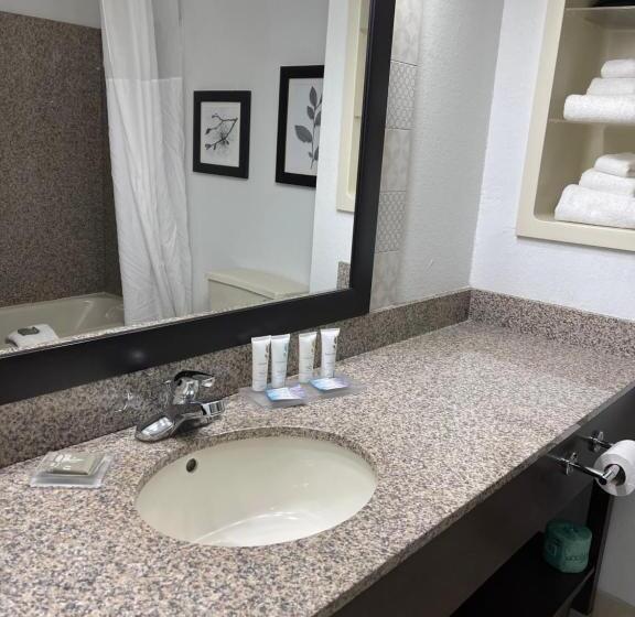 스위트 킹사이즈 침대, Country Inn & Suites By Radisson, Merrillville, In