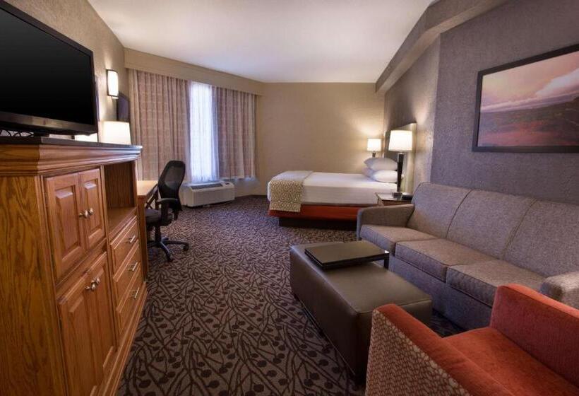 חדר דחוקס עם מיטת קינג, Drury Inn & Suites Amarillo