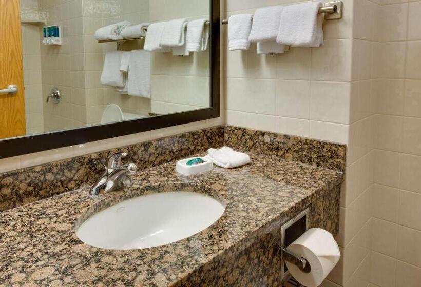 חדר סופריור מותאם לאדם עם מוגבלויות, Drury Inn & Suites Amarillo