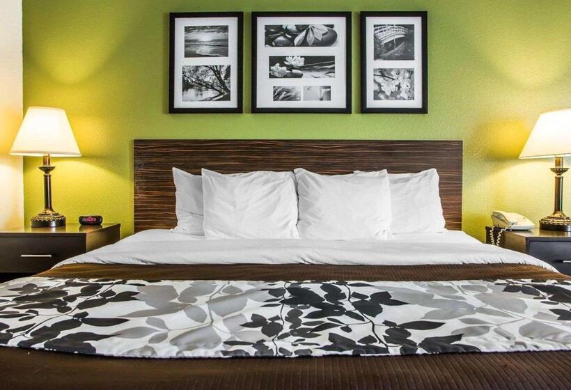 스탠다드 룸 킹사이즈 침대, Sleep Inn & Suites