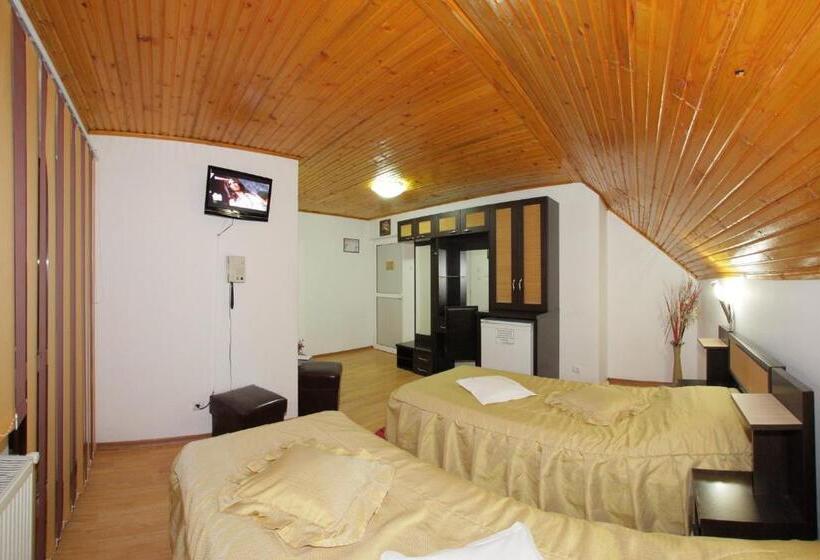 Номер Стандарт, Villa Select
