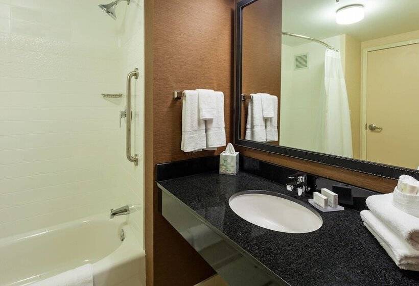 Studio Standard, Fairfield Inn And Suites Chicago Downtown River North