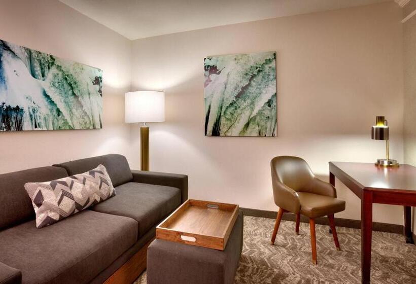 Студио Стандарт Кровать Кинг, Springhill Suites Lehi At Thanksgiving Point