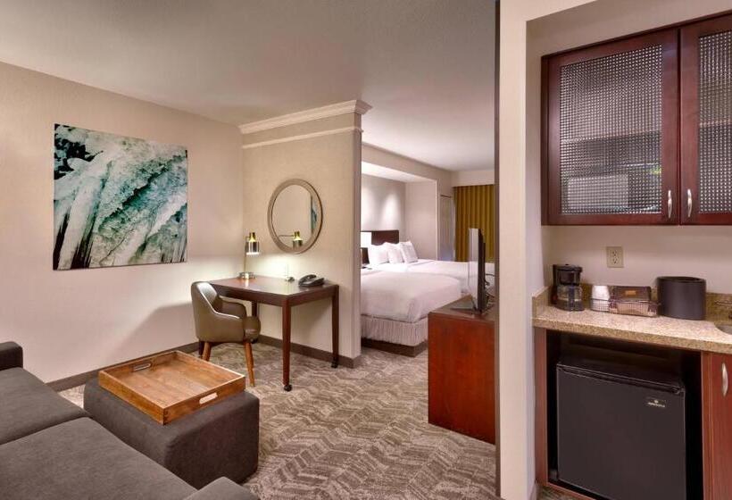 Студия Стандарт, Springhill Suites Lehi At Thanksgiving Point