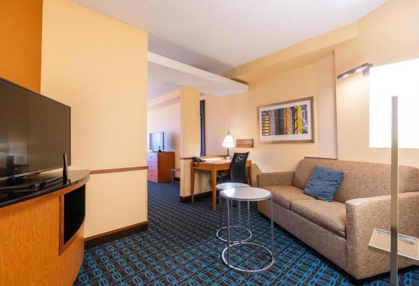 Люкс, Fairfield Inn & Suites By Marriott Carlisle