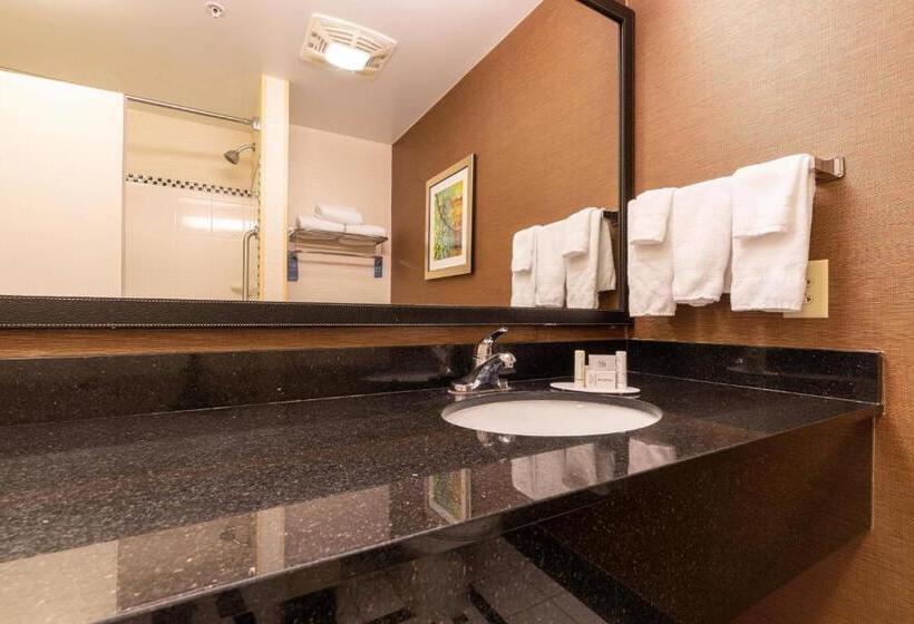 Люкс, Fairfield Inn & Suites By Marriott Carlisle