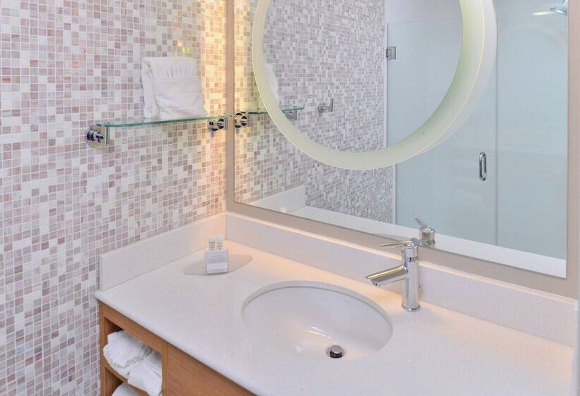استودیوی استاندارد, Springhill Suites By Marriott Detroit Metro Airport Romulus