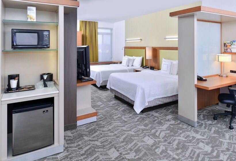 استودیوی استاندارد, Springhill Suites By Marriott Detroit Metro Airport Romulus