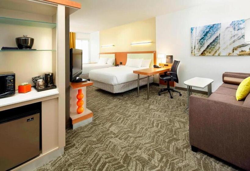 Студия Стандарт, Springhill Suites By Marriott Chicago Waukegan/gurnee