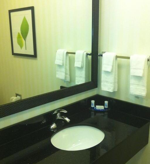Люкс 2 Спальни, Fairfield Inn & Suites Milledgeville