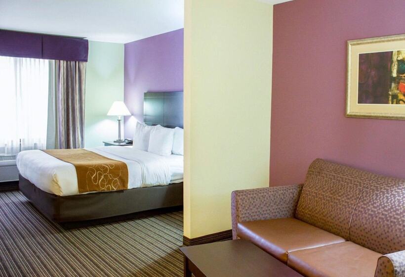 Люкс Адаптированный для Инвалидов, Comfort Suites