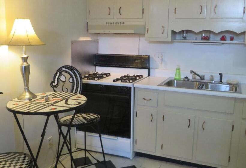 1 Schlafzimmer Deluxe Apartment, Historic Lasalle Downtown