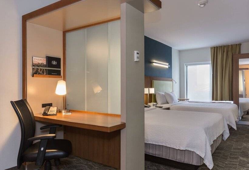 Студия Стандарт, Springhill Suites By Marriott Charlotte Ballantyne