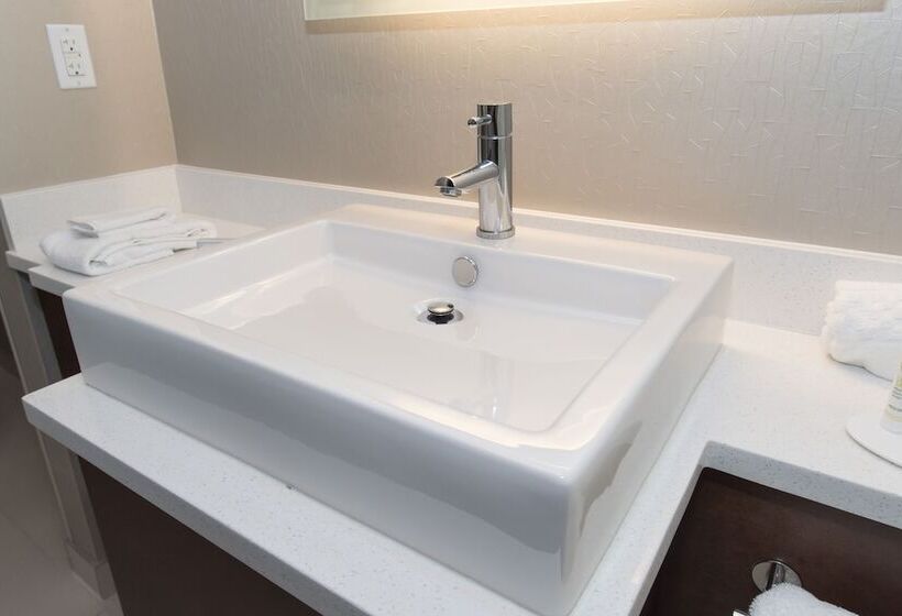 Студия Стандарт, Springhill Suites By Marriott Charlotte Ballantyne
