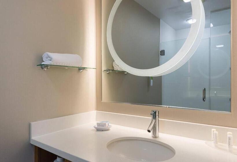 Студио Стандарт Кровать Кинг, Springhill Suites By Marriott Charlotte Ballantyne
