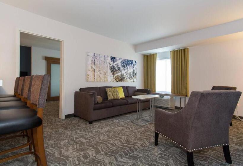 Люкс Кровать Кинг, Springhill Suites By Marriott Charlotte Ballantyne