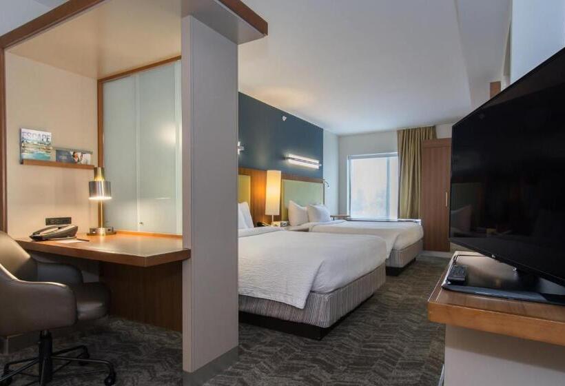 标准工作室, Springhill Suites Columbia Downtown The Vista