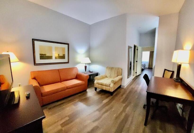 سوئیت با تخت بزرگ, Red Roof Inn & Suites Midland