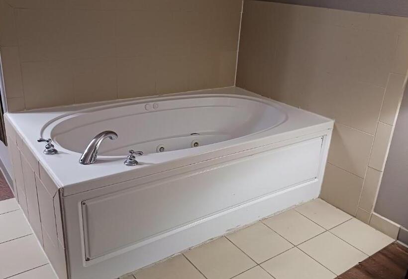اتاق سوپریور برای معلولان, Red Roof Inn & Suites Midland