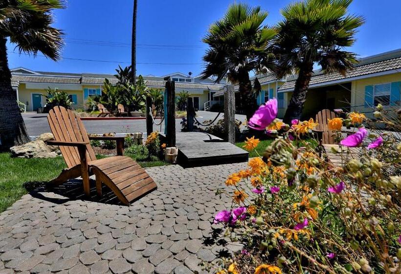 디럭스 룸, Beach Bungalow Inn And Suites