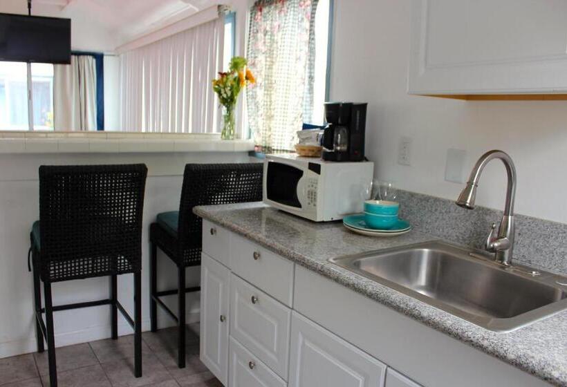 StandaardKamer, Hermosa
