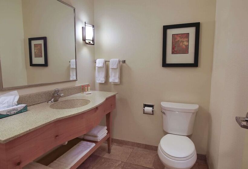 Номер Deluxe, Hawthorn Extended Stay By Wyndham Minot