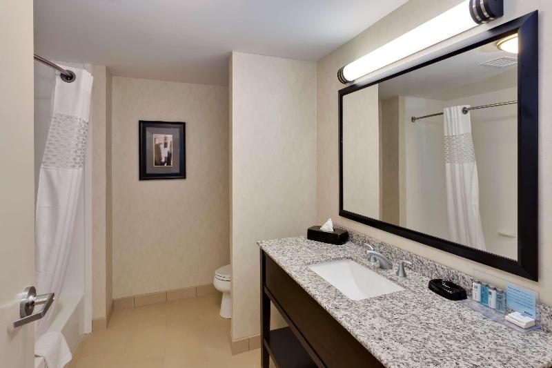 Стандартный Номер Кровать Кинг, Hampton Inn Seneca Falls