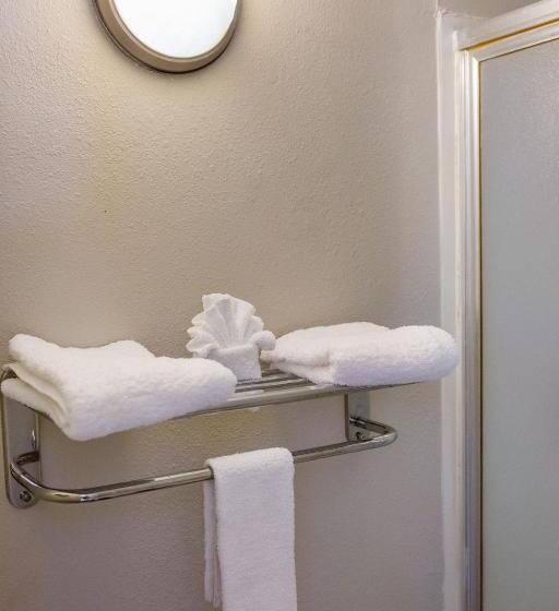 Standard Yhden Hengen Huone, Merit Inn And Suites
