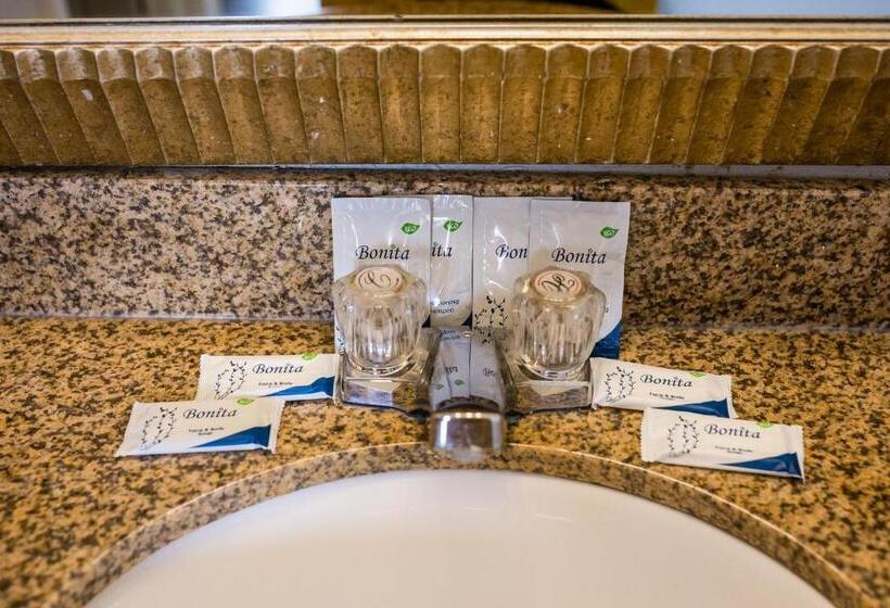 Sviitti King-vuode, Merit Inn And Suites