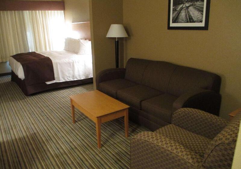 Стандартный Номер Кровать Кинг, Best Western Shelby Inn & Suites