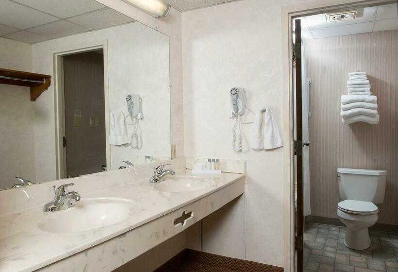 Номер Стандарт 2 Двуспальные Кровати, Birdinhand Family Inn