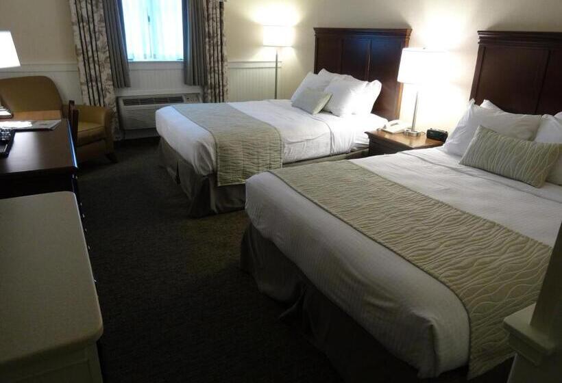 Номер Стандарт, Birdinhand Family Inn
