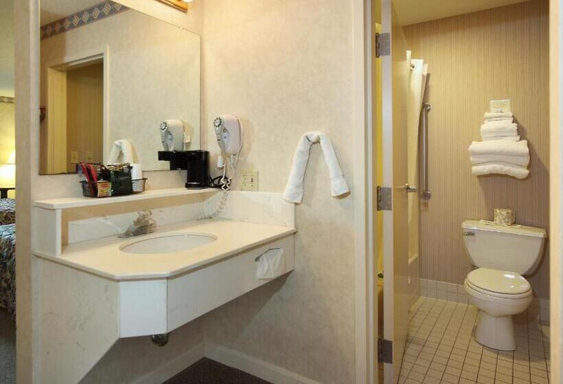 Номер Стандарт, Birdinhand Family Inn