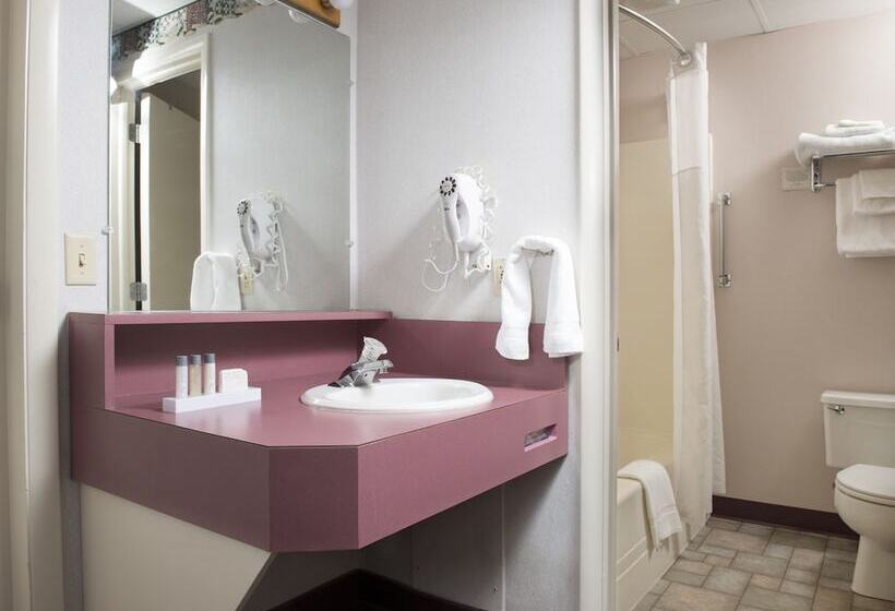 Номер Стандарт 2 Двуспальные Кровати, Birdinhand Family Inn
