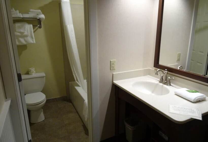 Номер Deluxe, Birdinhand Family Inn