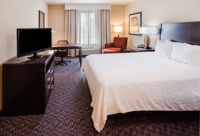キングサイズベッドのスタンダードルーム, Hilton Garden Inn Midland