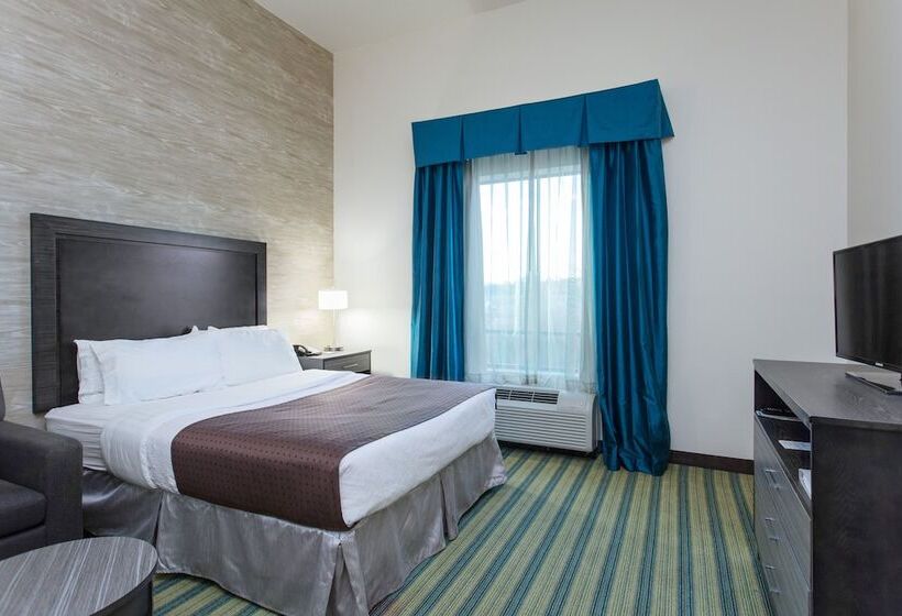 Номер Стандарт, Holiday Inn Texarkana Arkansas Convention Center, An Ihg