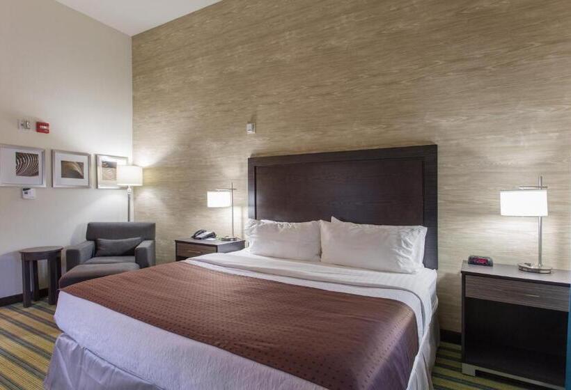 اتاق اجرایی با تخت بزرگ, Holiday Inn Texarkana Arkansas Convention Center, An Ihg