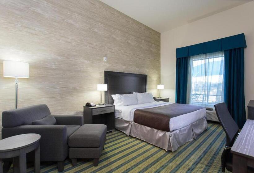 Номер Стандарт Кровать Кинг Адаптированный для Инвалидов, Holiday Inn Texarkana Arkansas Convention Center, An Ihg