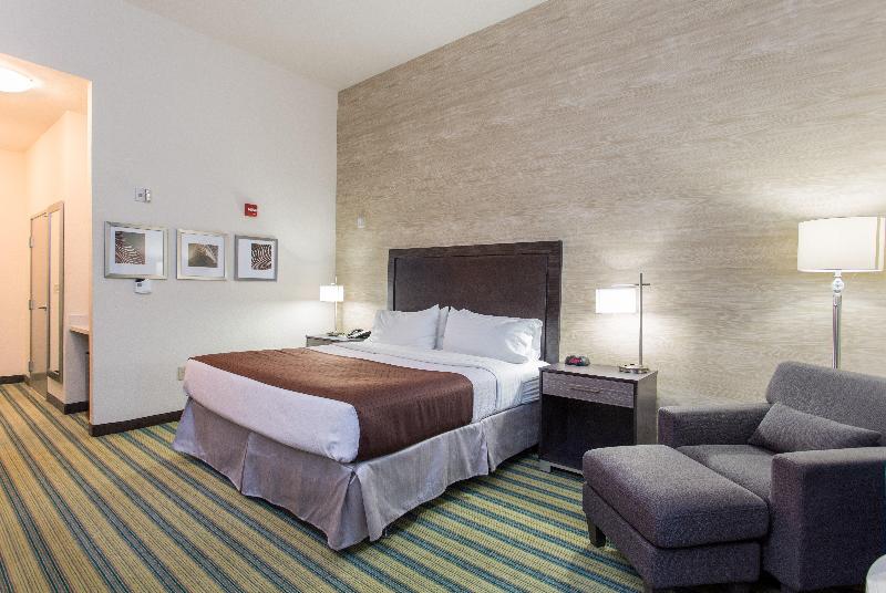 اتاق استاندارد با تخت بزرگ, Holiday Inn Texarkana Arkansas Convention Center, An Ihg