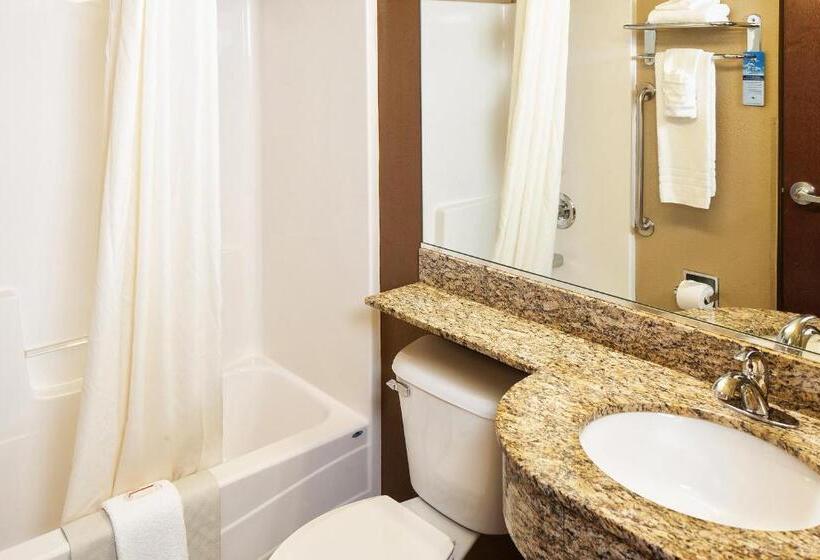 Стандартный Номер Кровать Кинг, Microtel Inn & Suites By Wyndham St Clairsville   Wheeling