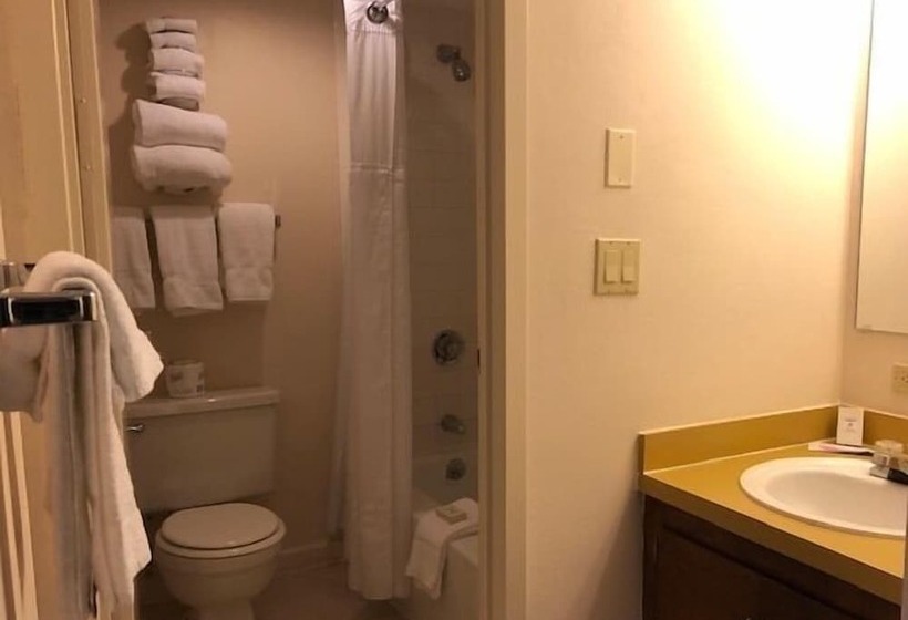 Апартаменты Superior 1 Спальня, Evergreen Valley Inn