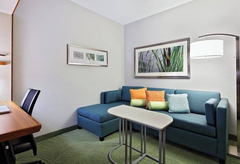 חדר סטודיו סטנדרד, Springhill Suites By Marriott Pensacola